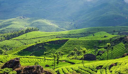MUNNAR